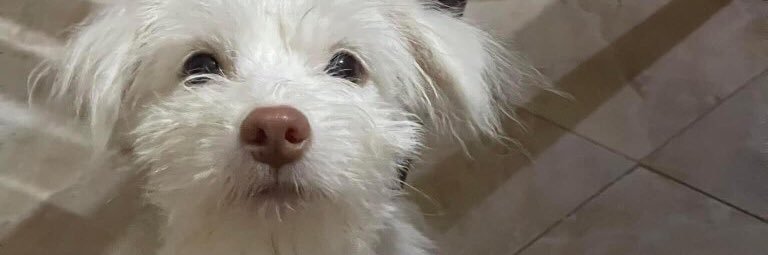 marthajuls's profile banner image