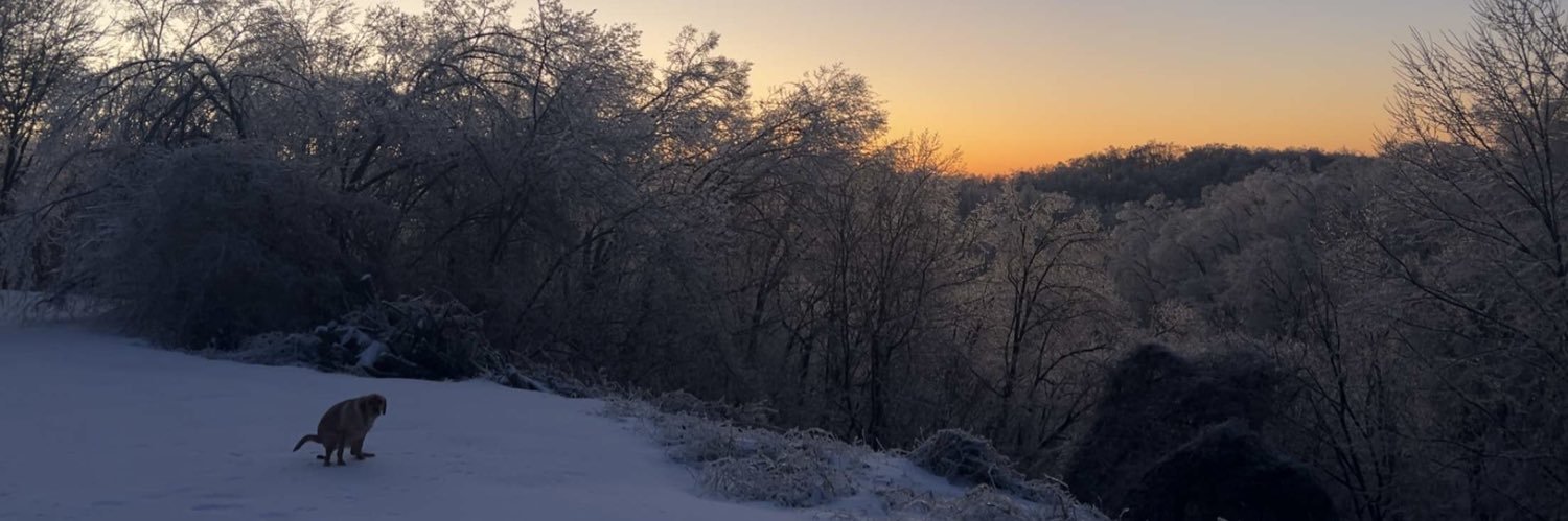 McHulan's profile banner image