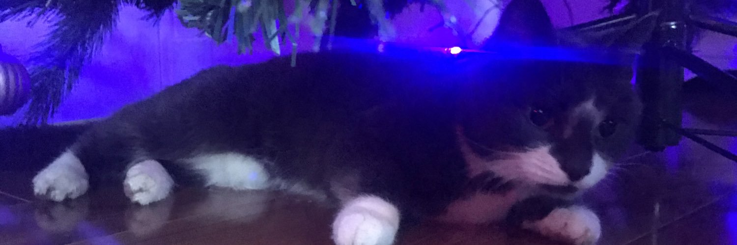 bethanynelson98's profile banner image