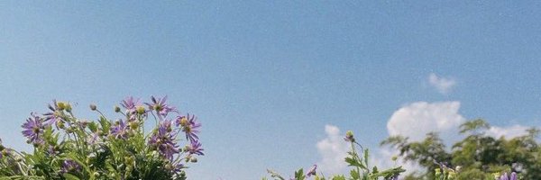 ttaem_p Profile Banner