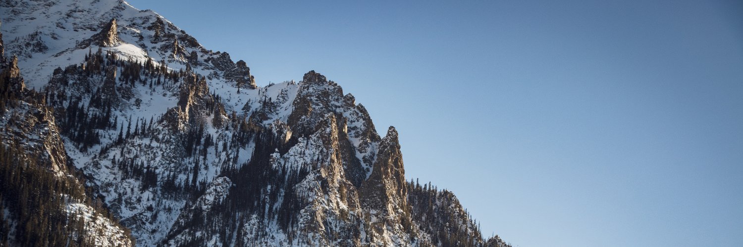 ngiuristante's profile banner image
