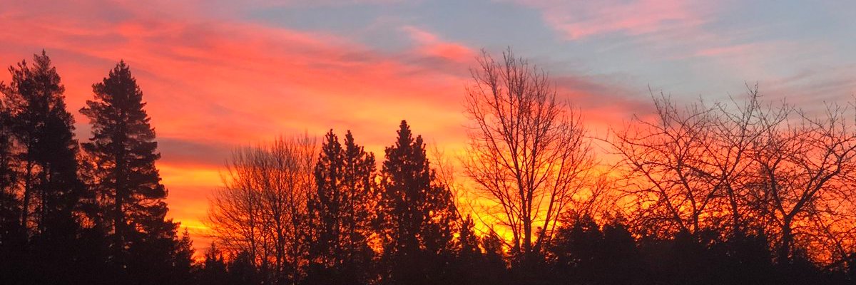 JohanneH's profile banner image