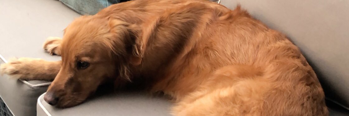 Danny_Bieds's profile banner image
