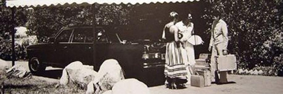 Robi Veltroni banner