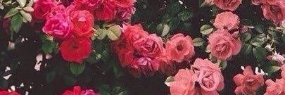 Russian__Idiot_'s profile banner image