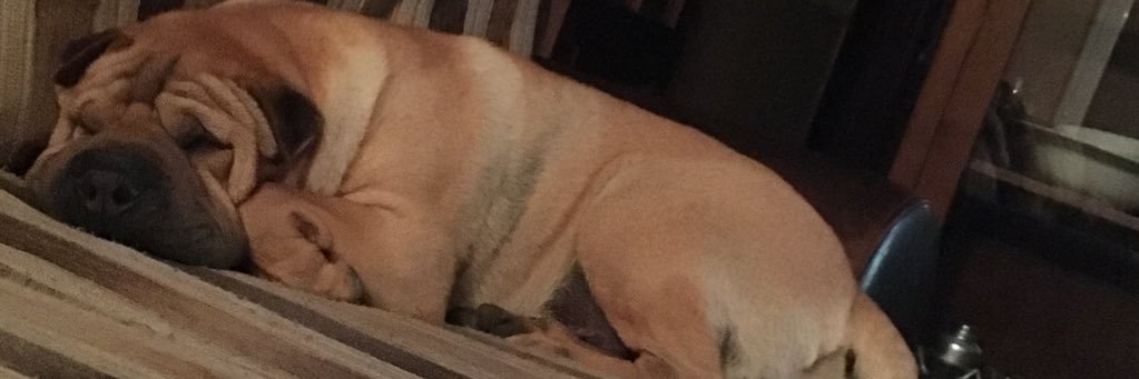ONLY banner