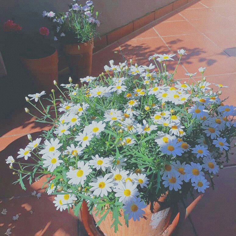 ___kez's profile banner image