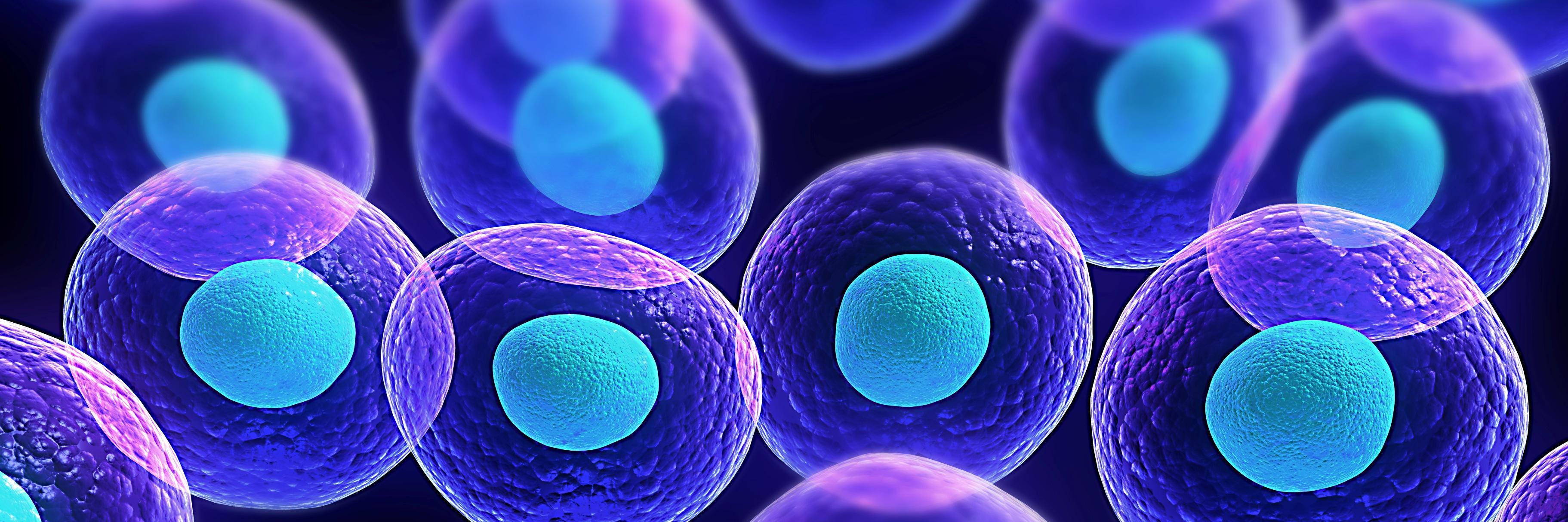 GFA_Membrane's profile banner image