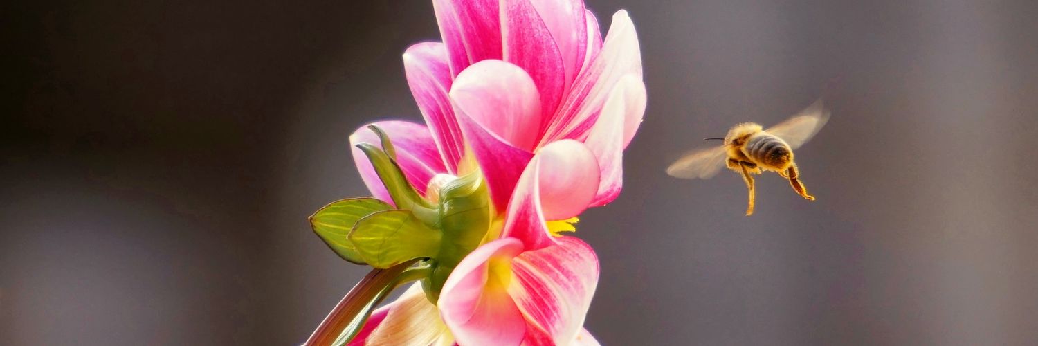 jennydurrant58's profile banner image