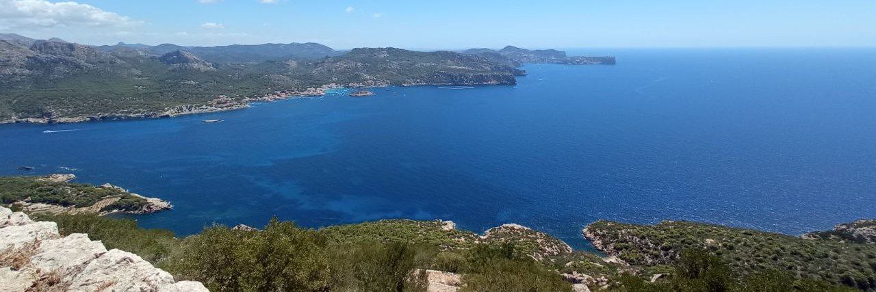 Eric Hernando Ehrhardt 🌻🇪🇺 banner