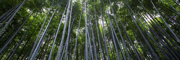 bergmcj Profile Banner