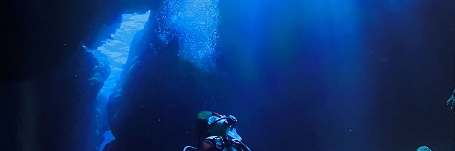 HummingLife_Ki's profile banner image