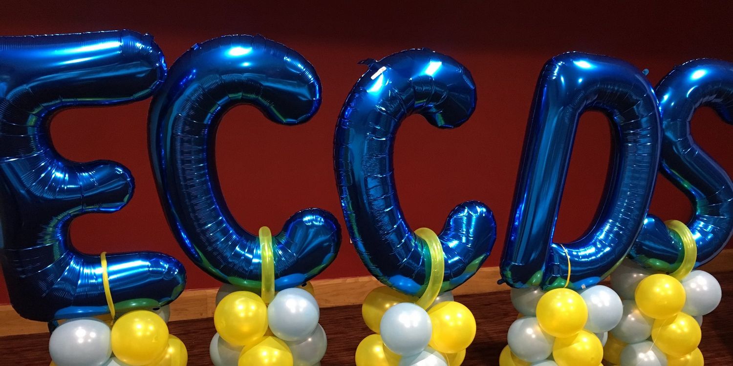 TheECCDS's profile banner image