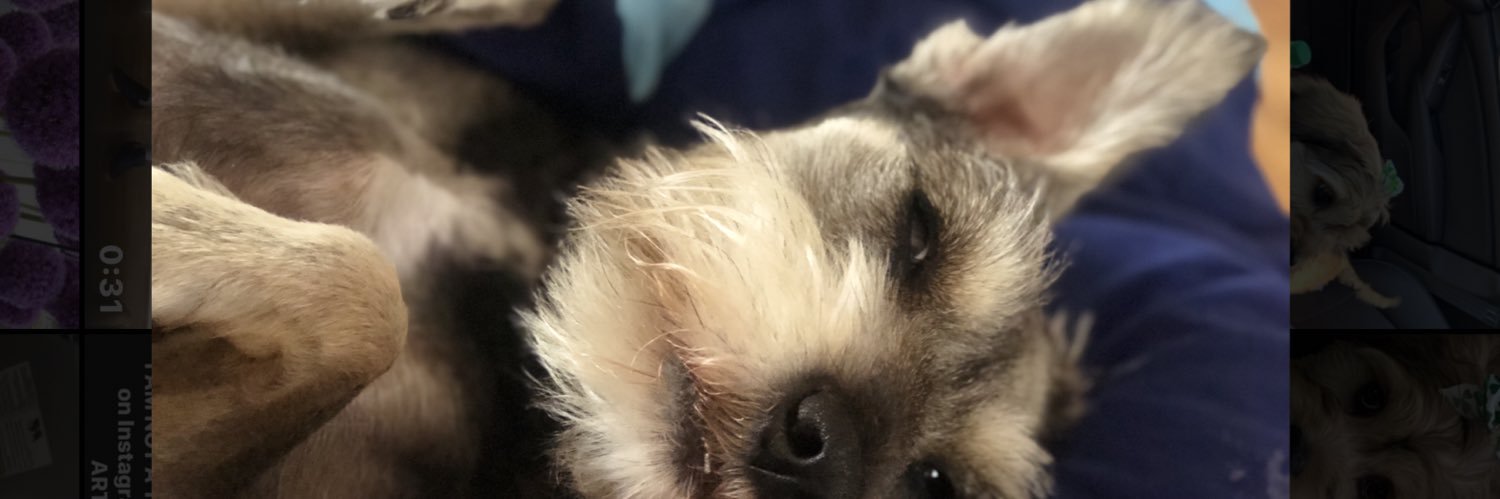 Sweet_Crvzyy's profile banner image