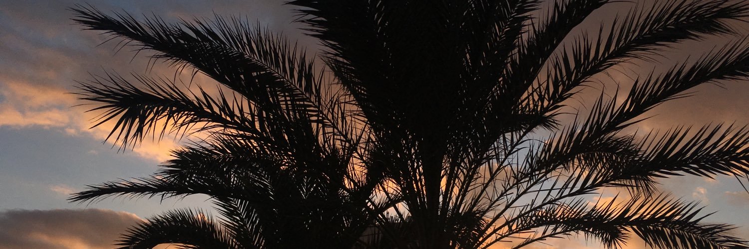 aajohannesson's profile banner image