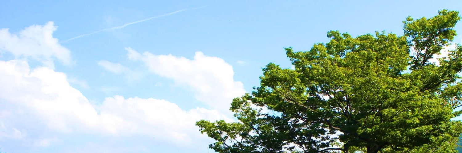 bs_0318's profile banner image