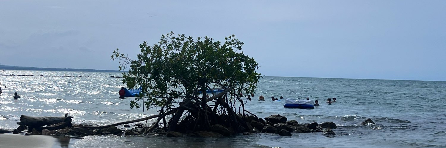 MaryAyaP's profile banner image