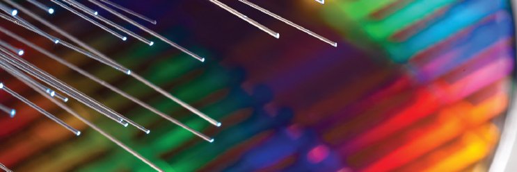 Silicon Mass banner