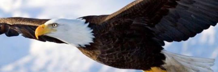 System1623's profile banner image