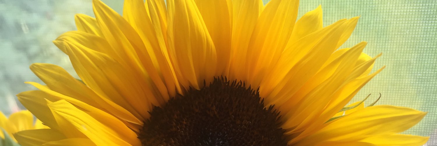 Alyssa_Ballard's profile banner image