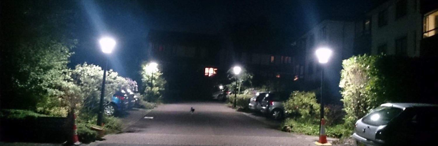 NickNjlight's profile banner image