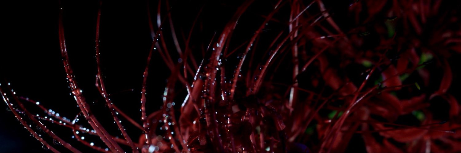tetsudo231's profile banner image