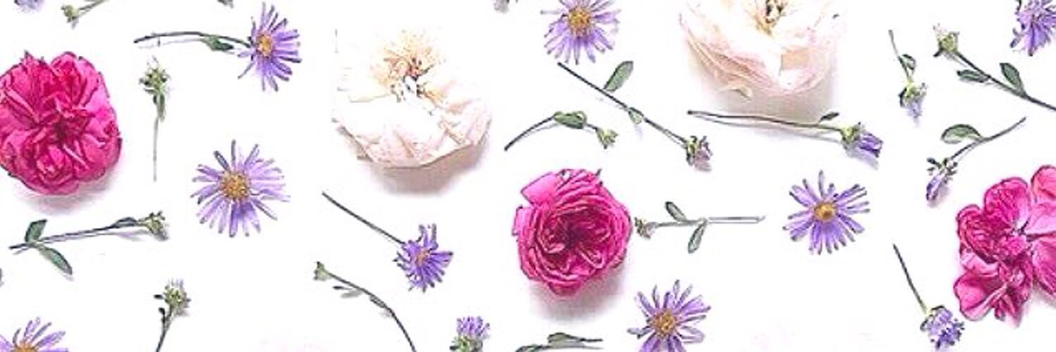 conecaren's profile banner image