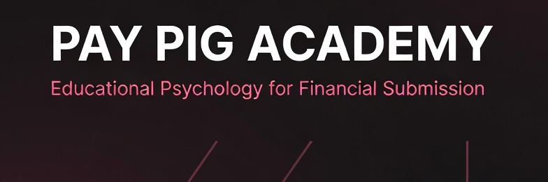 PayPigAcademy's profile banner image