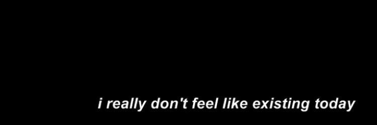 kittyandfries's profile banner image
