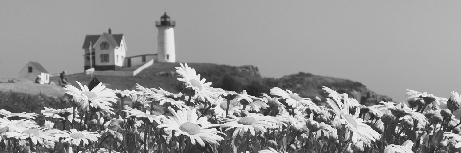 tudee81's profile banner image