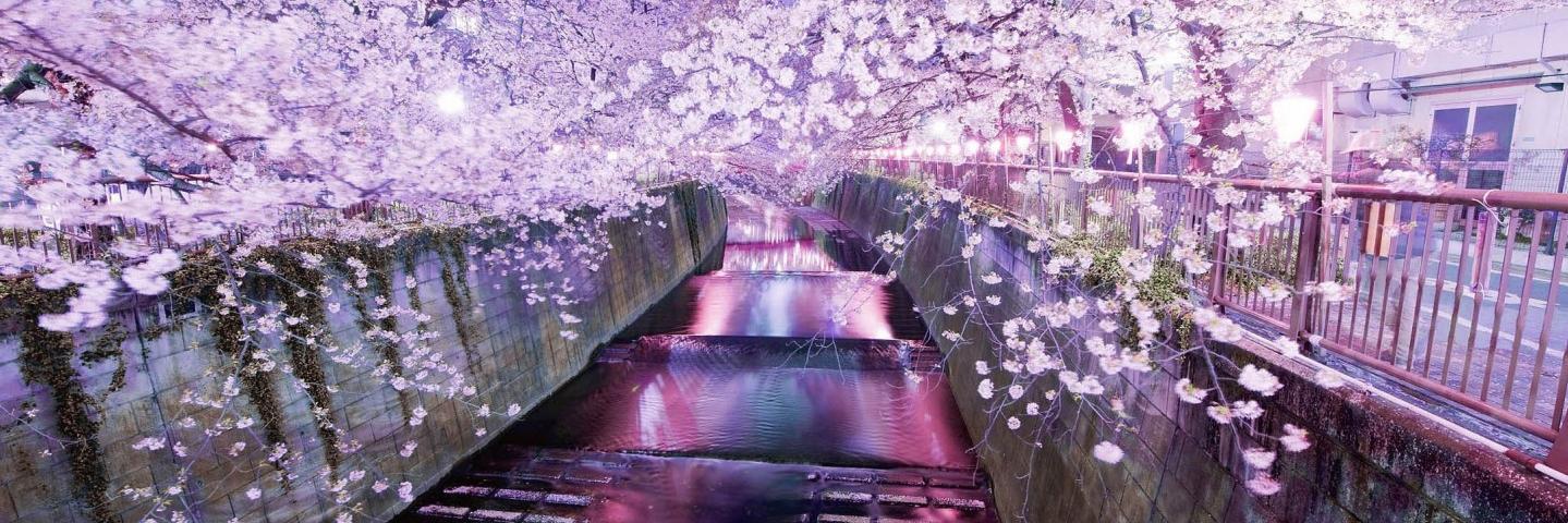 CoolJapanPic's profile banner image