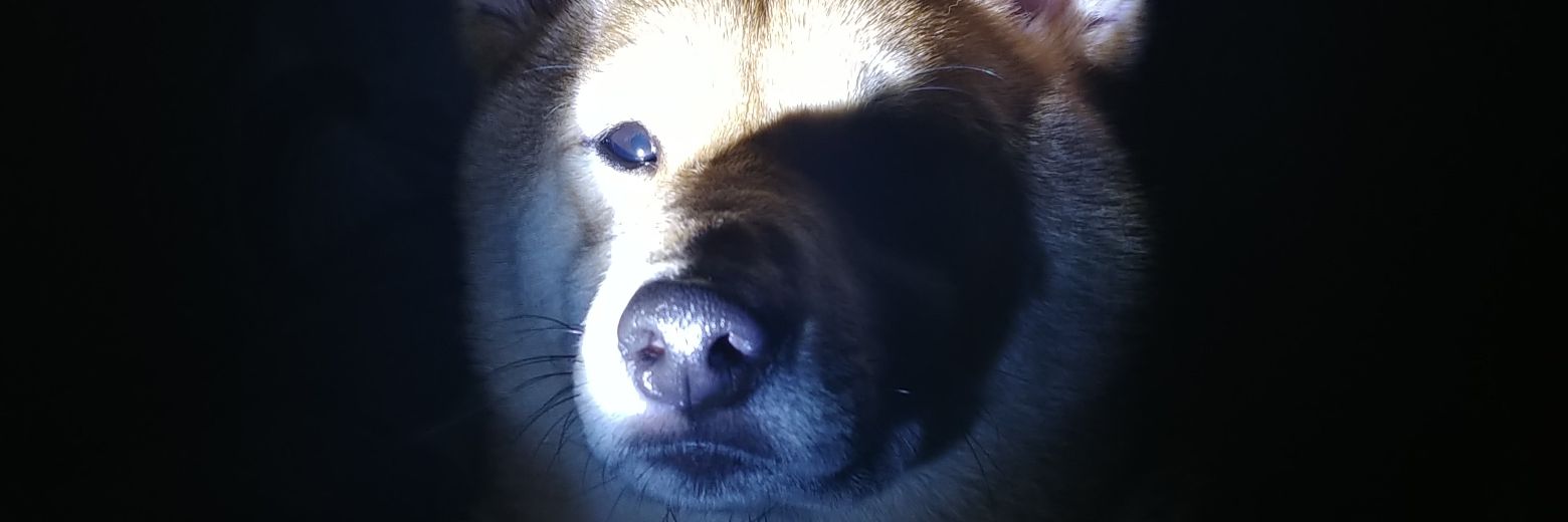 zkull_113's profile banner image