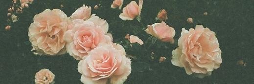 Maulaawahab's profile banner image