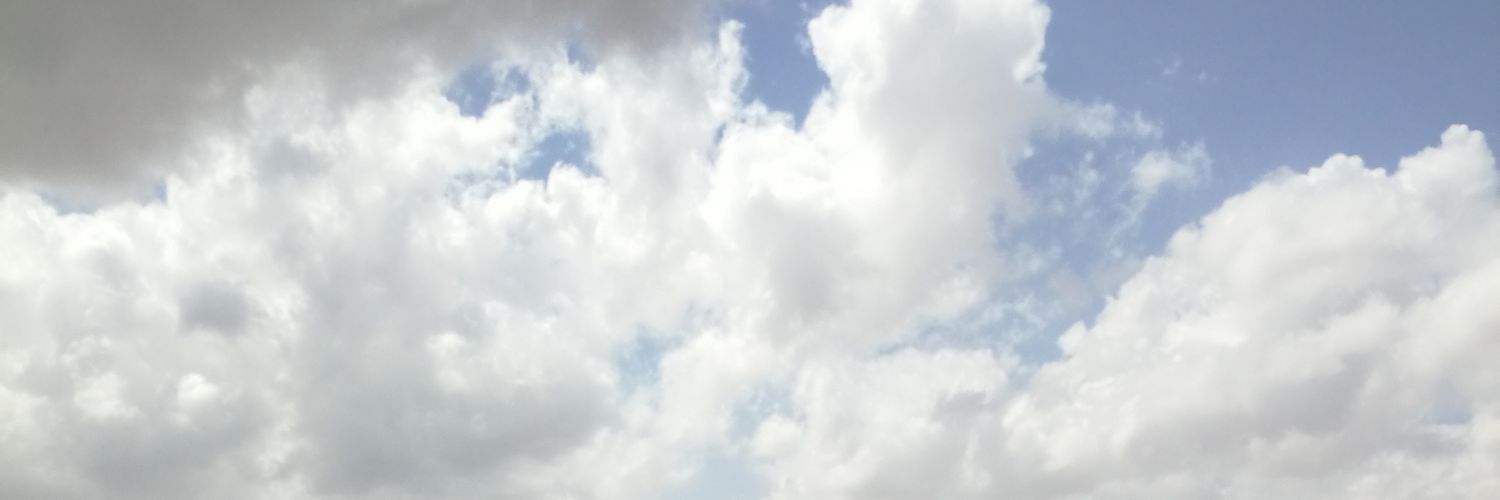 bulaxaari's profile banner image