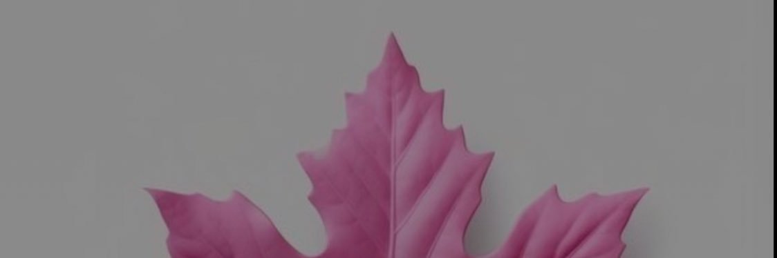 kh_nheer's profile banner image