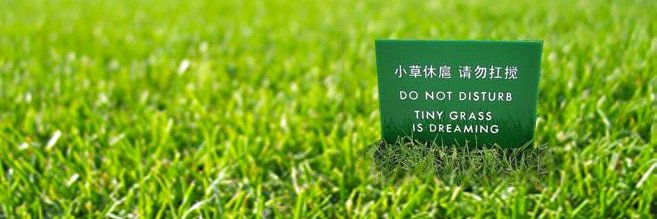 prof. danielle wilde, phd banner