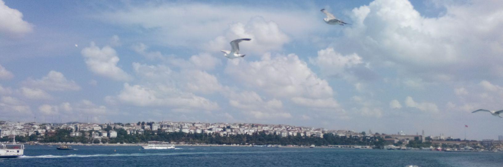 qesewat's profile banner image