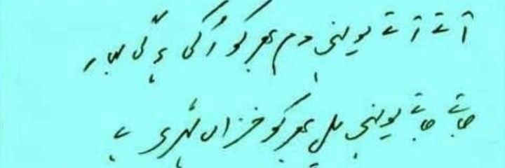 saadia_alvi's profile banner image