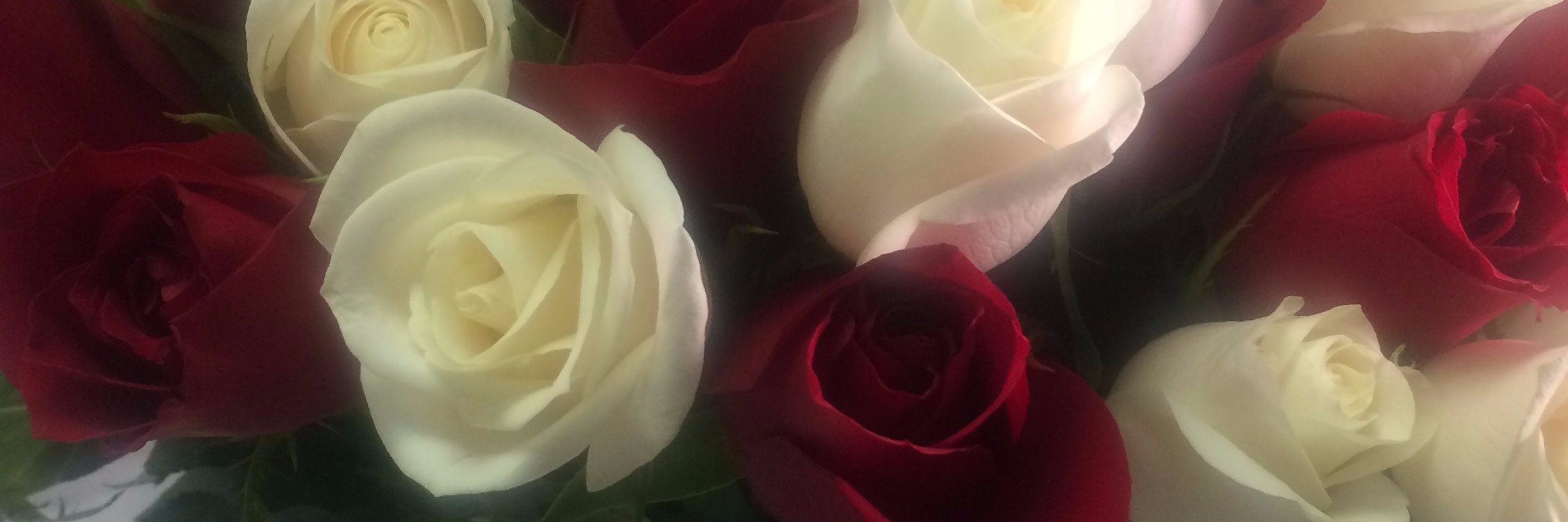 MsPhila_'s profile banner image