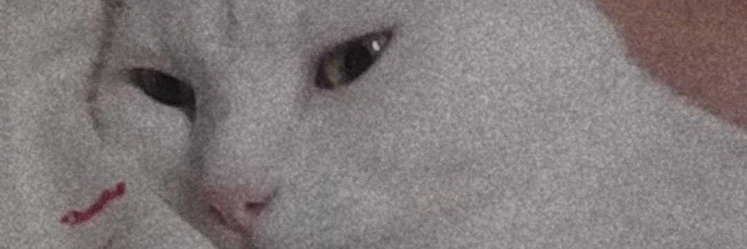 key_morfil's profile banner image