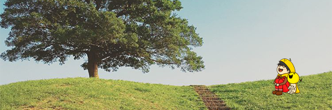 youthcas's profile banner image