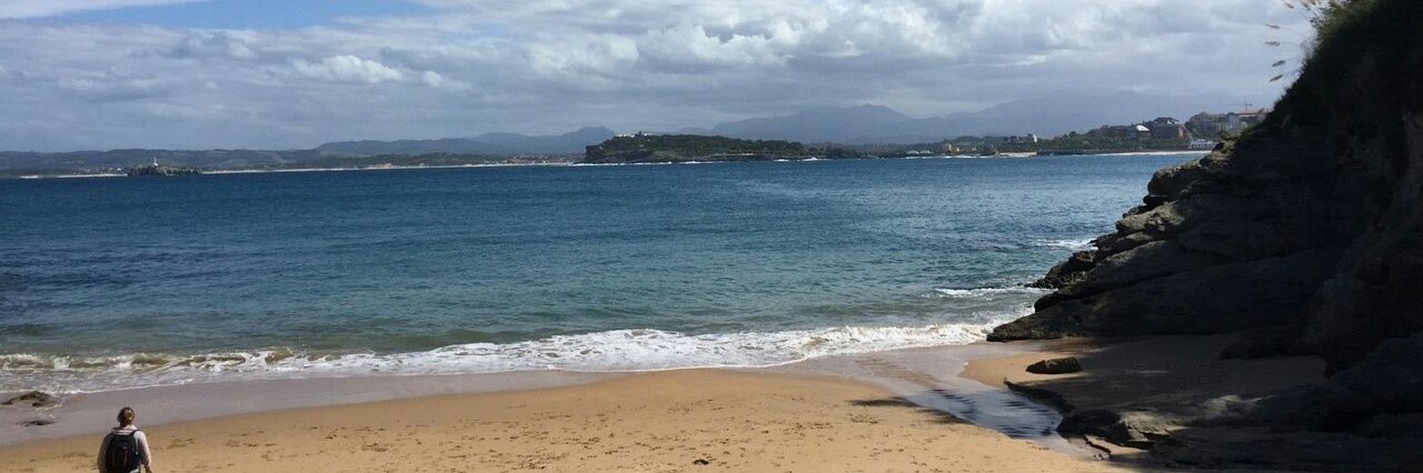 WTV・jerky 🍖 banner