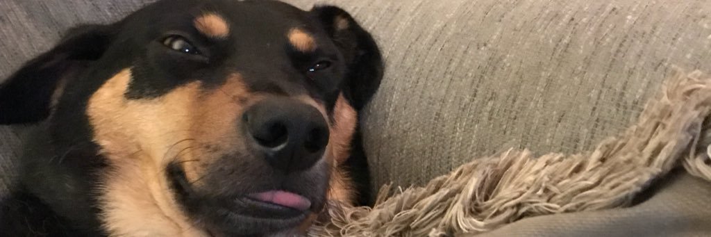 TheAmbienWalrus's profile banner image