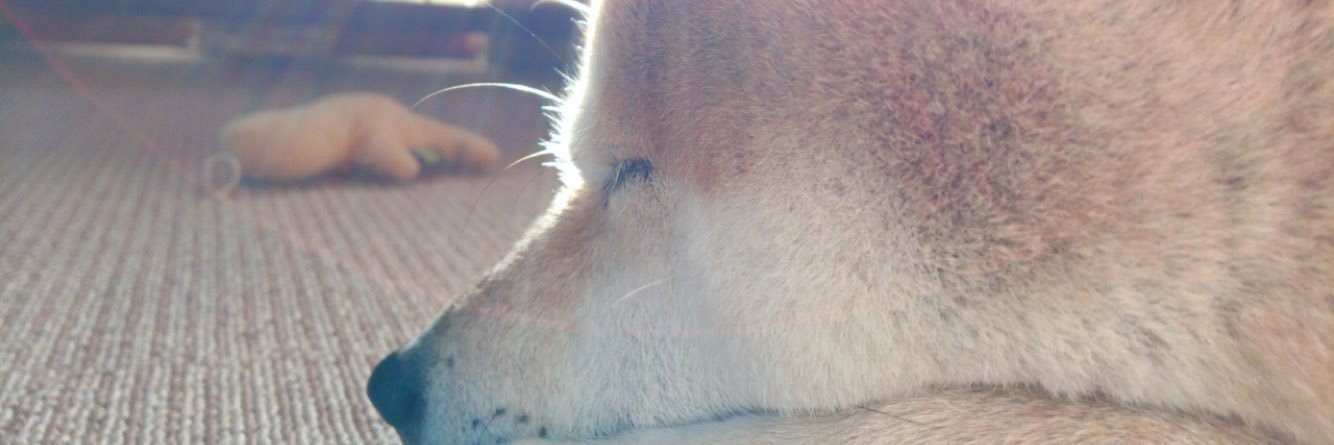 nanavamu's profile banner image