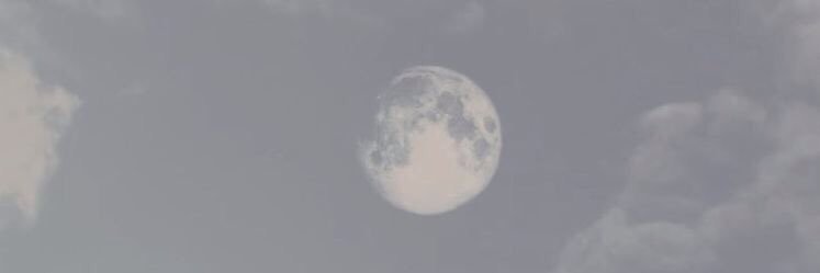 jisoonary's profile banner image