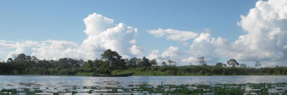 CAPA_Peru's profile banner image