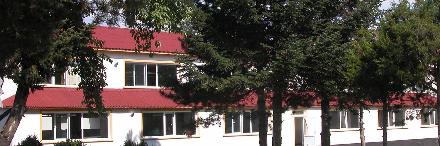 emrelini's profile banner image