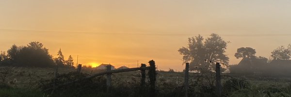 christinetaffo1 Profile Banner