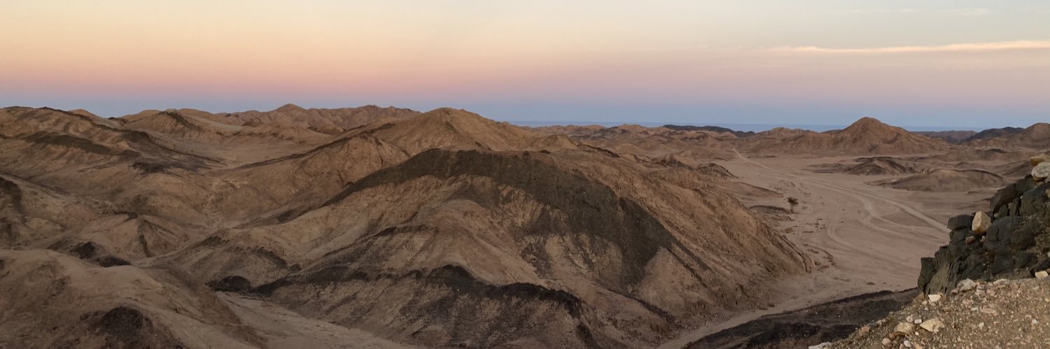 romiewarrren's profile banner image