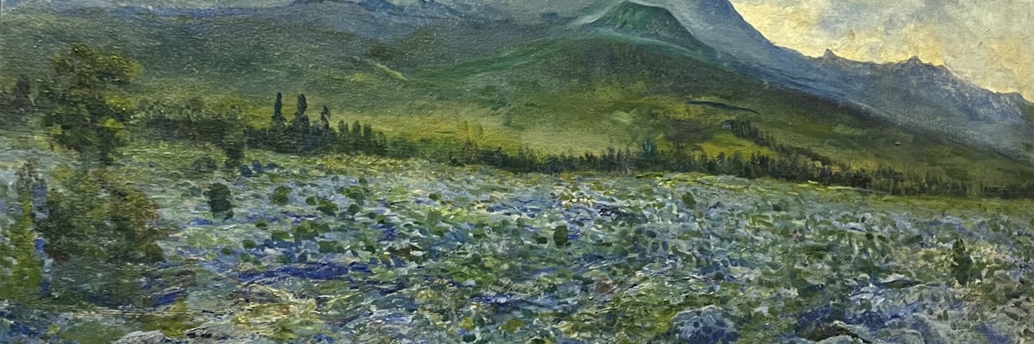 akviryi's profile banner image